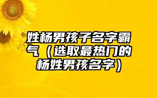 姓杨男孩子名字霸气（选取最热门的杨姓男孩名字）