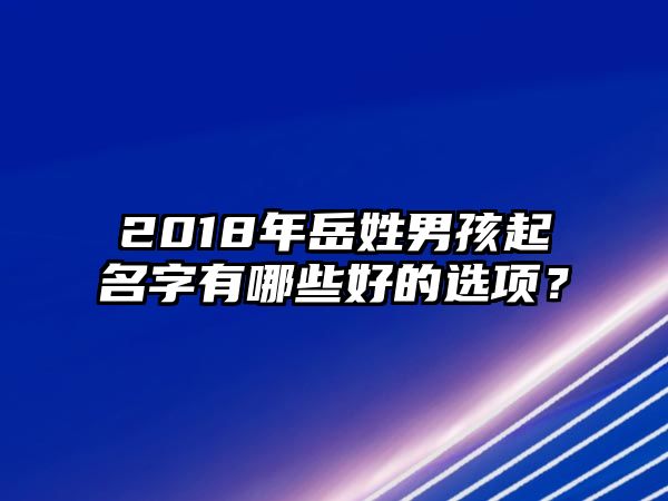 2018年岳姓男孩起名字有哪些好的选项？