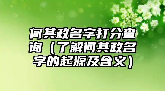 何其政名字打分查询（了解何其政名字的起源及含义）