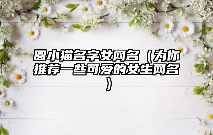 圆小猫名字女网名（为你推荐一些可爱的女生网名）