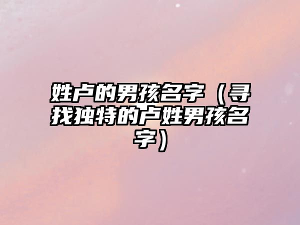 姓卢的男孩名字（寻找独特的卢姓男孩名字）