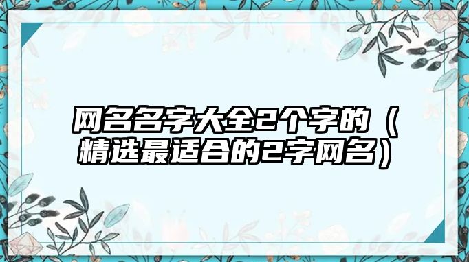 网名名字大全2个字的（精选最适合的2字网名）