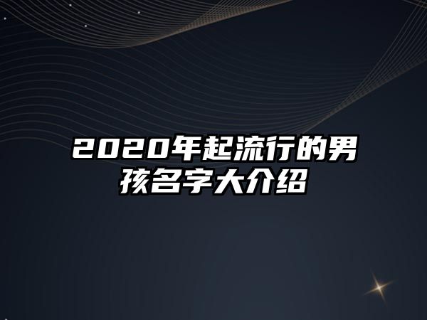 2020年起流行的男孩名字大介绍