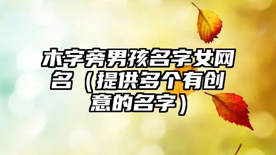 木字旁男孩名字女网名（提供多个有创意的名字）