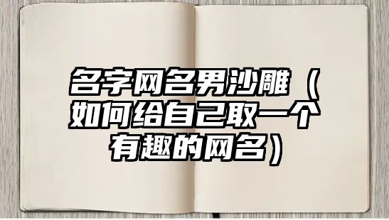 名字网名男沙雕（如何给自己取一个有趣的网名）