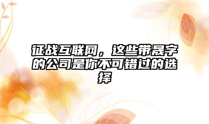 征战互联网，这些带晟字的公司是你不可错过的选择