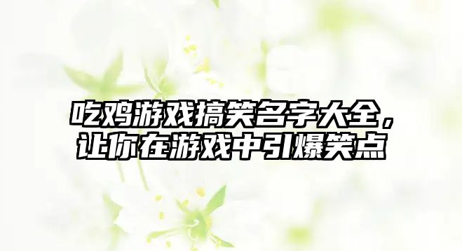 吃鸡游戏搞笑名字大全，让你在游戏中引爆笑点