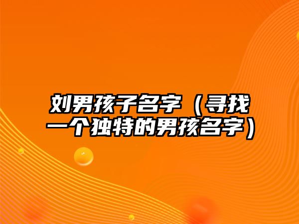 刘男孩子名字（寻找一个独特的男孩名字）