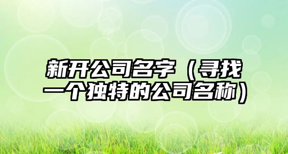 新开公司名字（寻找一个独特的公司名称）