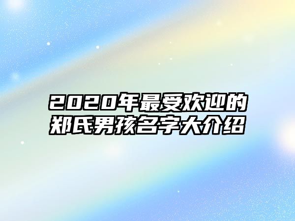 2020年最受欢迎的郑氏男孩名字大介绍