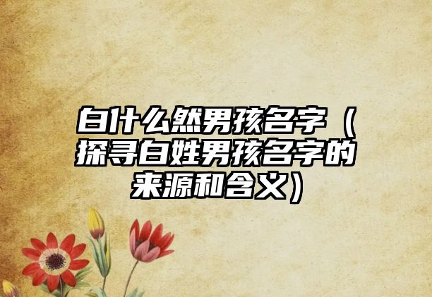 白什么然男孩名字（探寻白姓男孩名字的来源和含义）