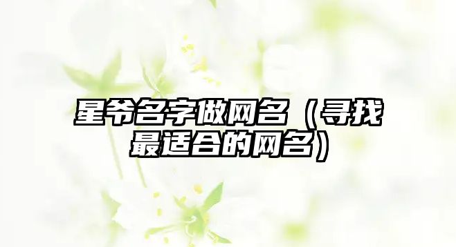 星爷名字做网名（寻找最适合的网名）