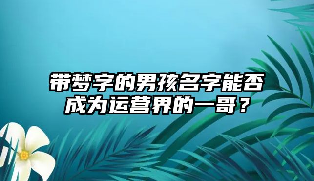 带梦字的男孩名字能否成为运营界的一哥？