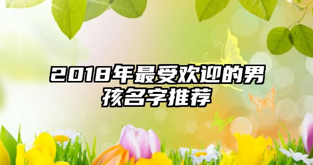 2018年最受欢迎的男孩名字推荐