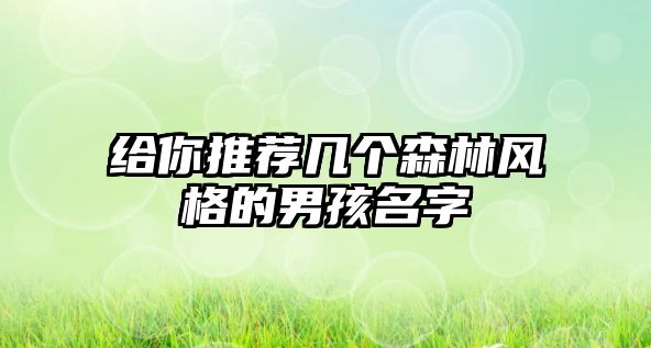 给你推荐几个森林风格的男孩名字