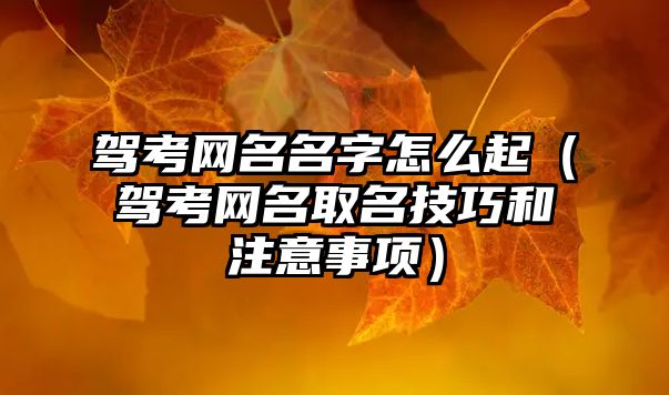 驾考网名名字怎么起（驾考网名取名技巧和注意事项）