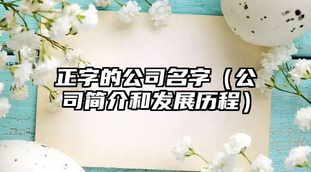 正字的公司名字（公司简介和发展历程）