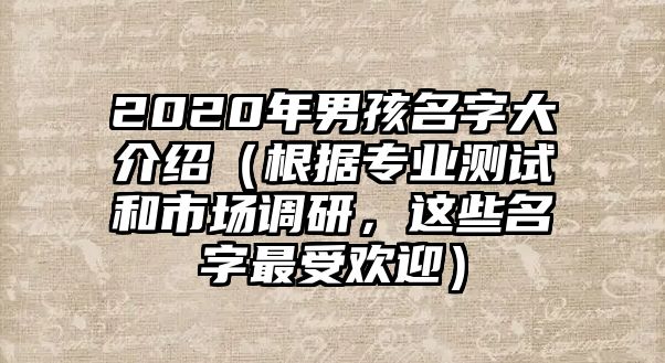 2020年男孩名字大介绍（根据专业测试和市场调研，这些名字最受欢迎）