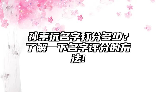 孙崇沅名字打分多少？了解一下名字评分的方法!