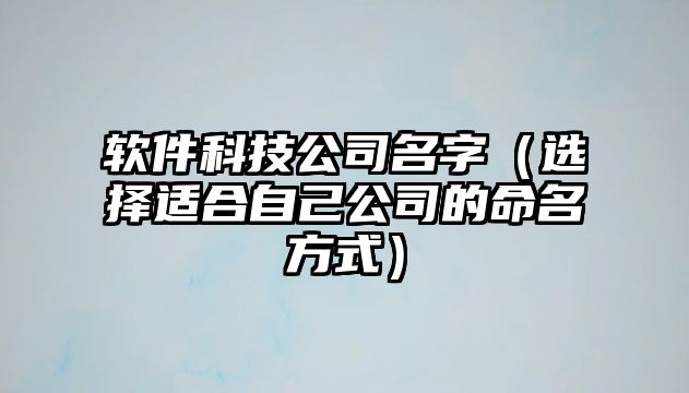 软件科技公司名字（选择适合自己公司的命名方式）