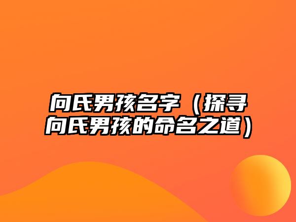 向氏男孩名字（探寻向氏男孩的命名之道）