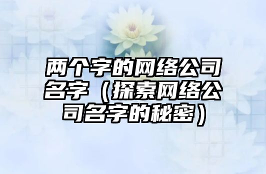 两个字的网络公司名字（探索网络公司名字的秘密）