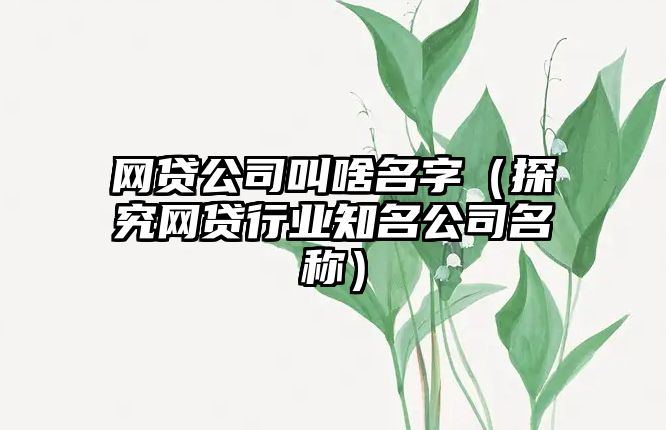 网贷公司叫啥名字（探究网贷行业知名公司名称）