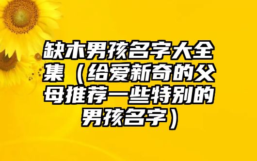 缺木男孩名字大全集（给爱新奇的父母推荐一些特别的男孩名字）