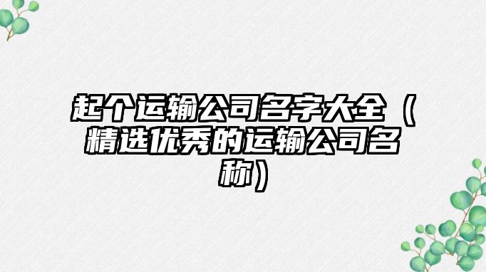 起个运输公司名字大全（精选优秀的运输公司名称）