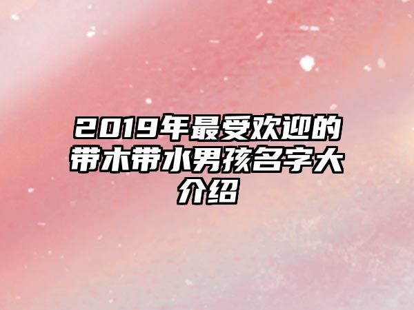 2019年最受欢迎的带木带水男孩名字大介绍