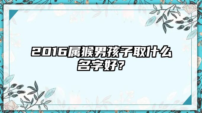 2016属猴男孩子取什么名字好？