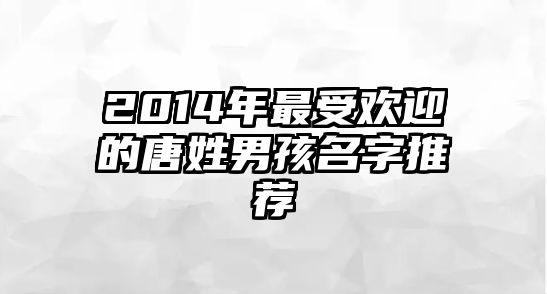 2014年最受欢迎的唐姓男孩名字推荐