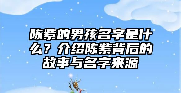 陈紫的男孩名字是什么？介绍陈紫背后的故事与名字来源