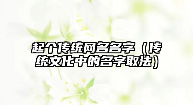 起个传统网名名字（传统文化中的名字取法）