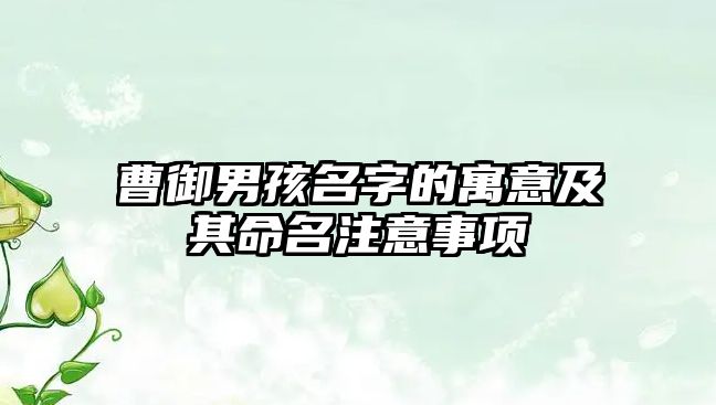 曹御男孩名字的寓意及其命名注意事项