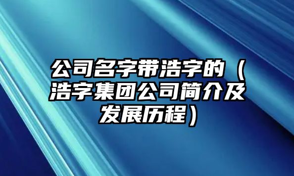 公司名字带浩字的（浩字集团公司简介及发展历程）