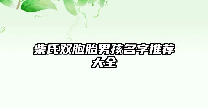 柴氏双胞胎男孩名字推荐大全