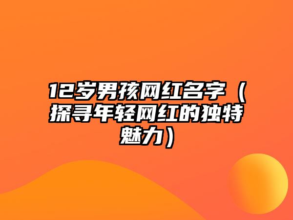 12岁男孩网红名字（探寻年轻网红的独特魅力）