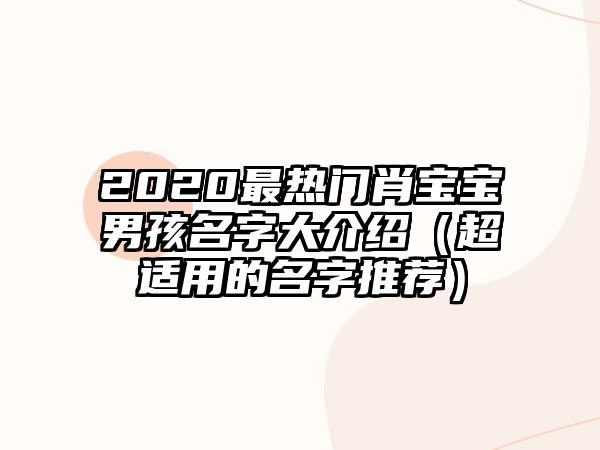 2020最热门肖宝宝男孩名字大介绍（超适用的名字推荐）