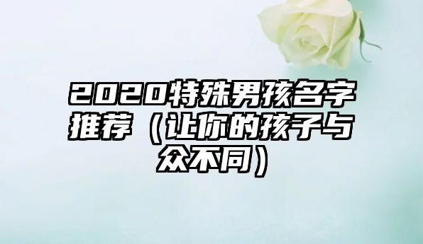 2020特殊男孩名字推荐（让你的孩子与众不同）