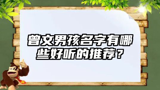 曾文男孩名字有哪些好听的推荐？