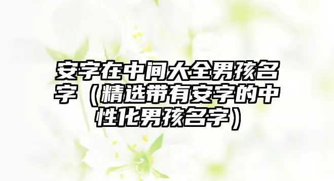 安字在中间大全男孩名字（精选带有安字的中性化男孩名字）