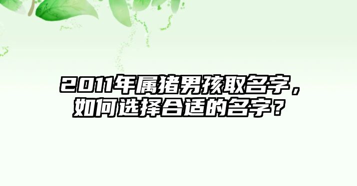 2011年属猪男孩取名字，如何选择合适的名字？