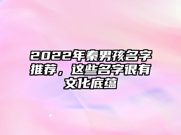 2022年秦男孩名字推荐，这些名字很有文化底蕴