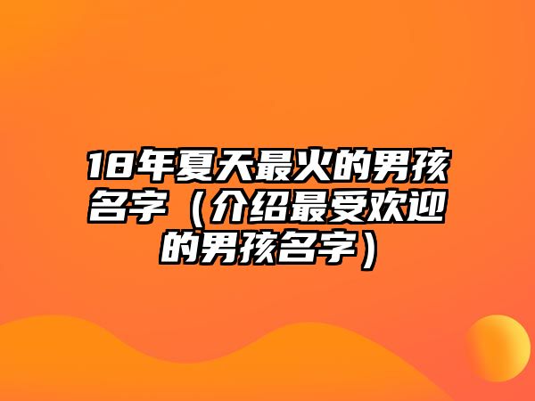 18年夏天最火的男孩名字（介绍最受欢迎的男孩名字）