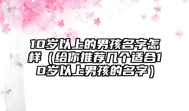 10岁以上的男孩名字怎样（给你推荐几个适合10岁以上男孩的名字）