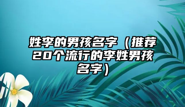 姓李的男孩名字（推荐20个流行的李姓男孩名字）