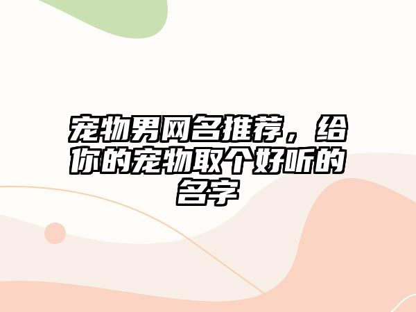 宠物男网名推荐，给你的宠物取个好听的名字