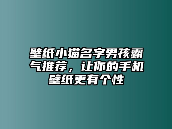 壁纸小猫名字男孩霸气推荐，让你的手机壁纸更有个性