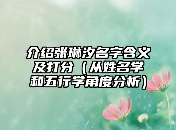 介绍张琳汐名字含义及打分（从姓名学和五行学角度分析）